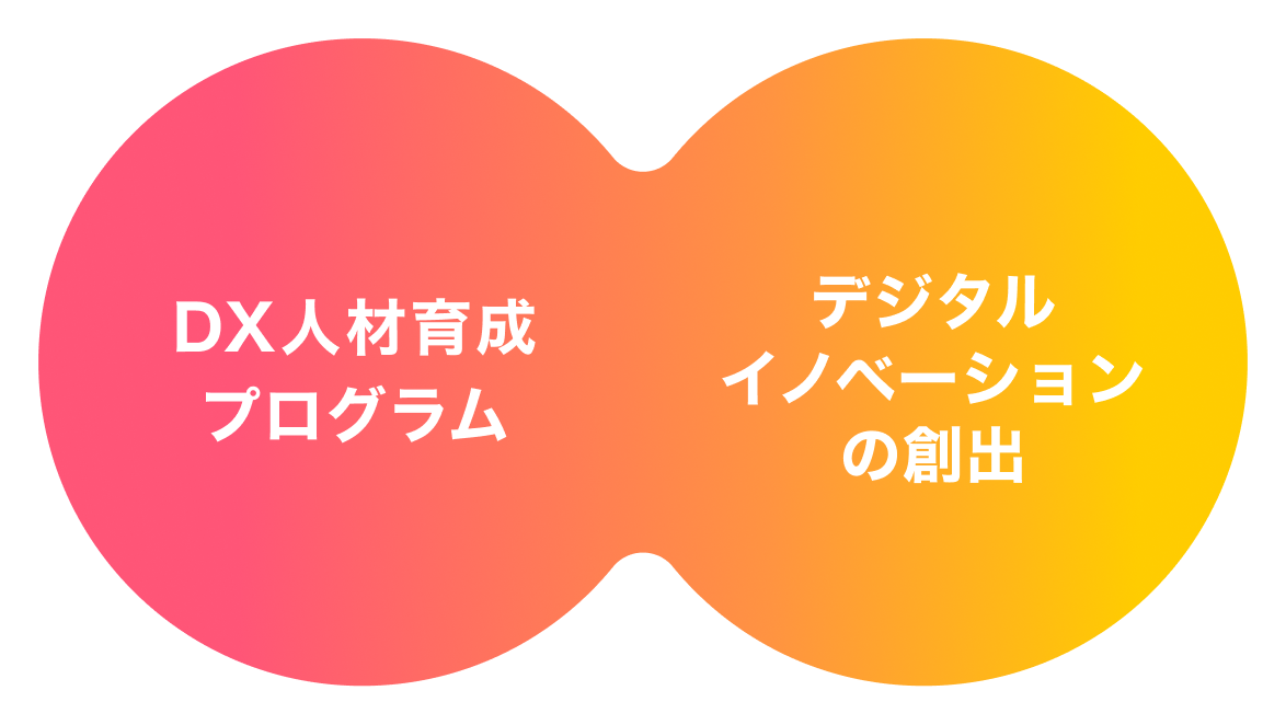 DX人材育成プログラム デジタルイノベーションの創出